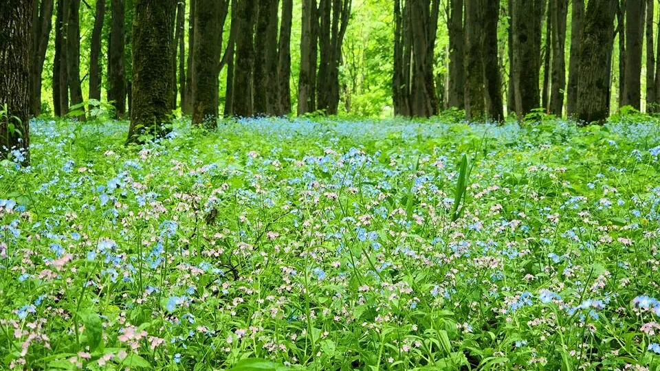 Фото: Мария Панина