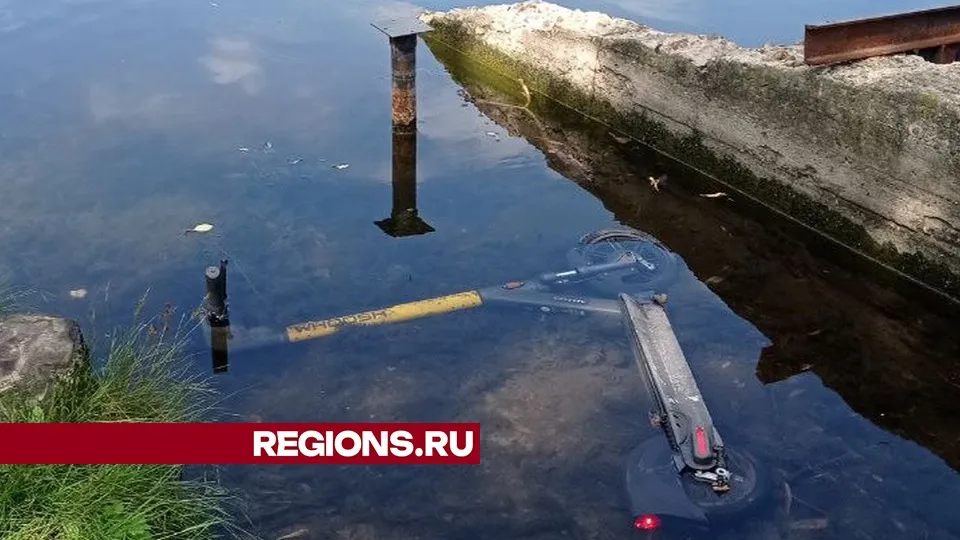 Фото: Алексей Новиков