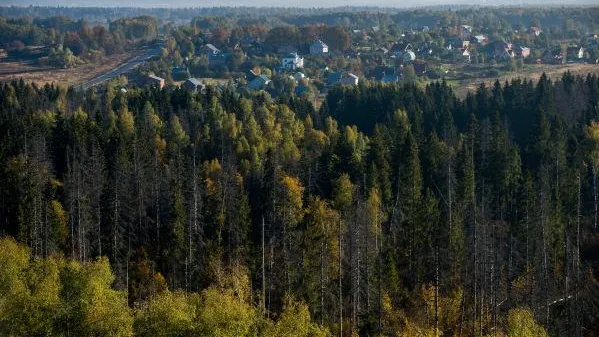  Александр Вильф / РИА Новости