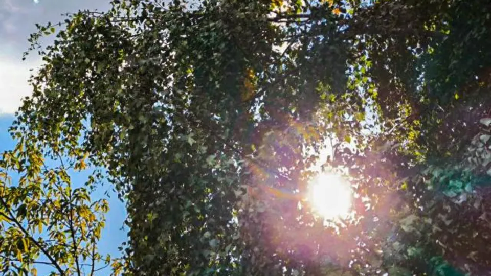 Фото: REGIONS/Роман Малышенко