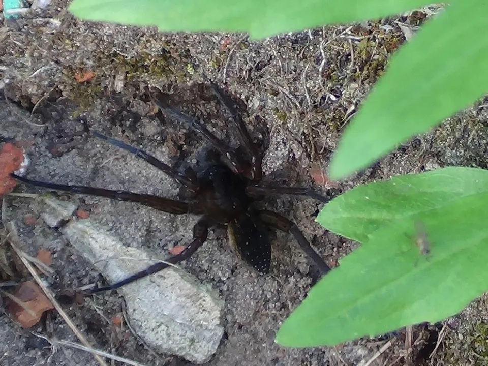 Фото: МедиаБанк Подмосковья/Михаил Мартыненко
