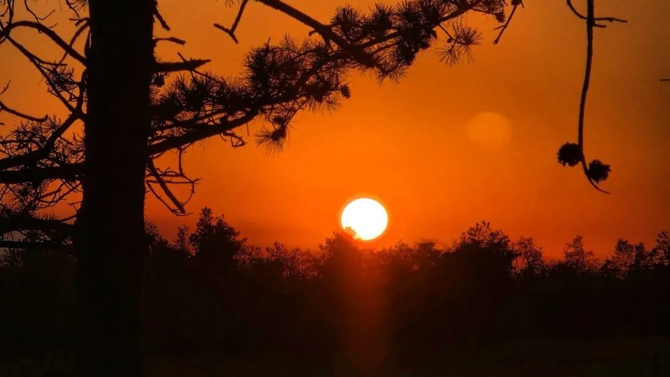 Фото: REGIONS/Анастасия Широкая