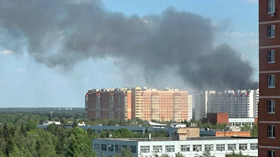 Фото: t.me/krasnoznamensk_news