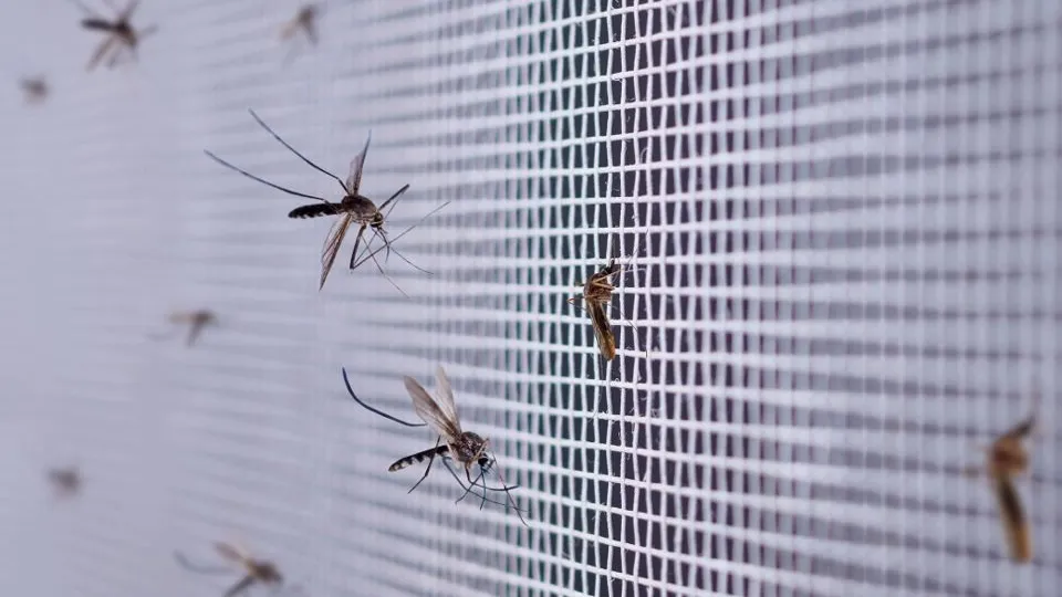 Фото: istockphoto.com