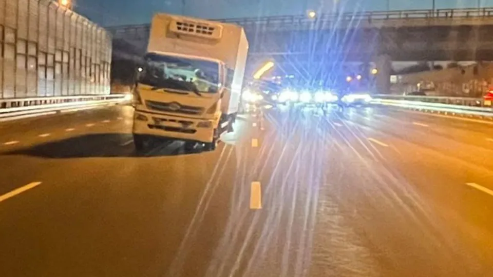 Фото: управление МВД РФ по Московской области