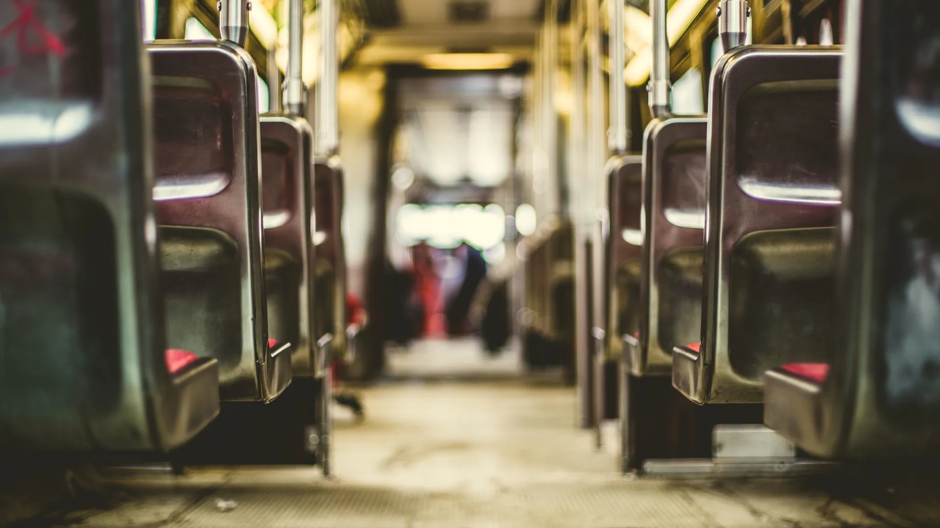 Фото: pxhere.com