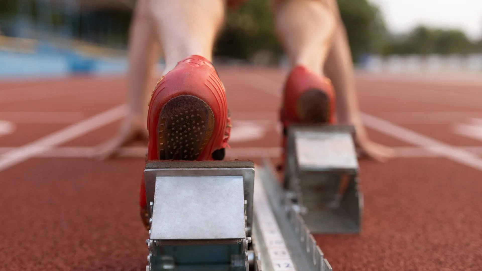 медиасток.рф