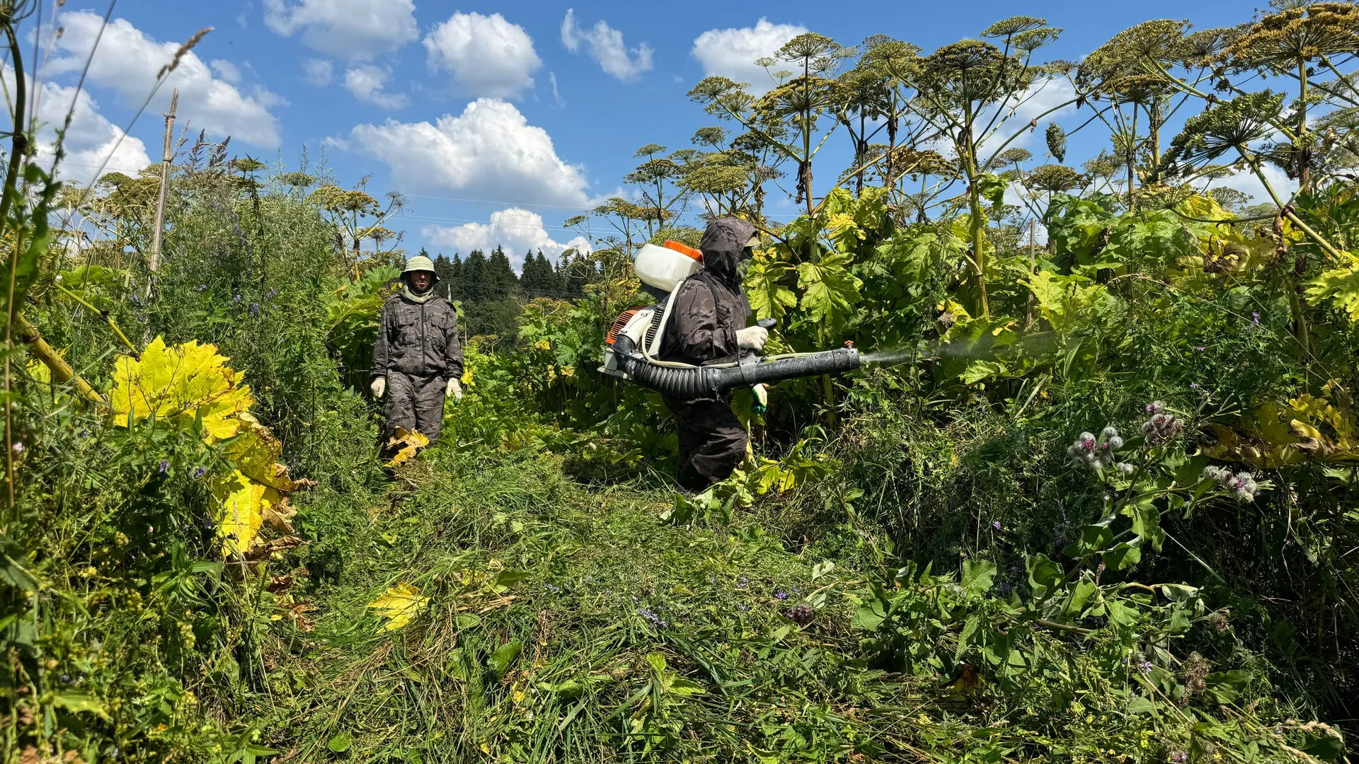 Фото: пресс-служба администрации Можайского м. о.