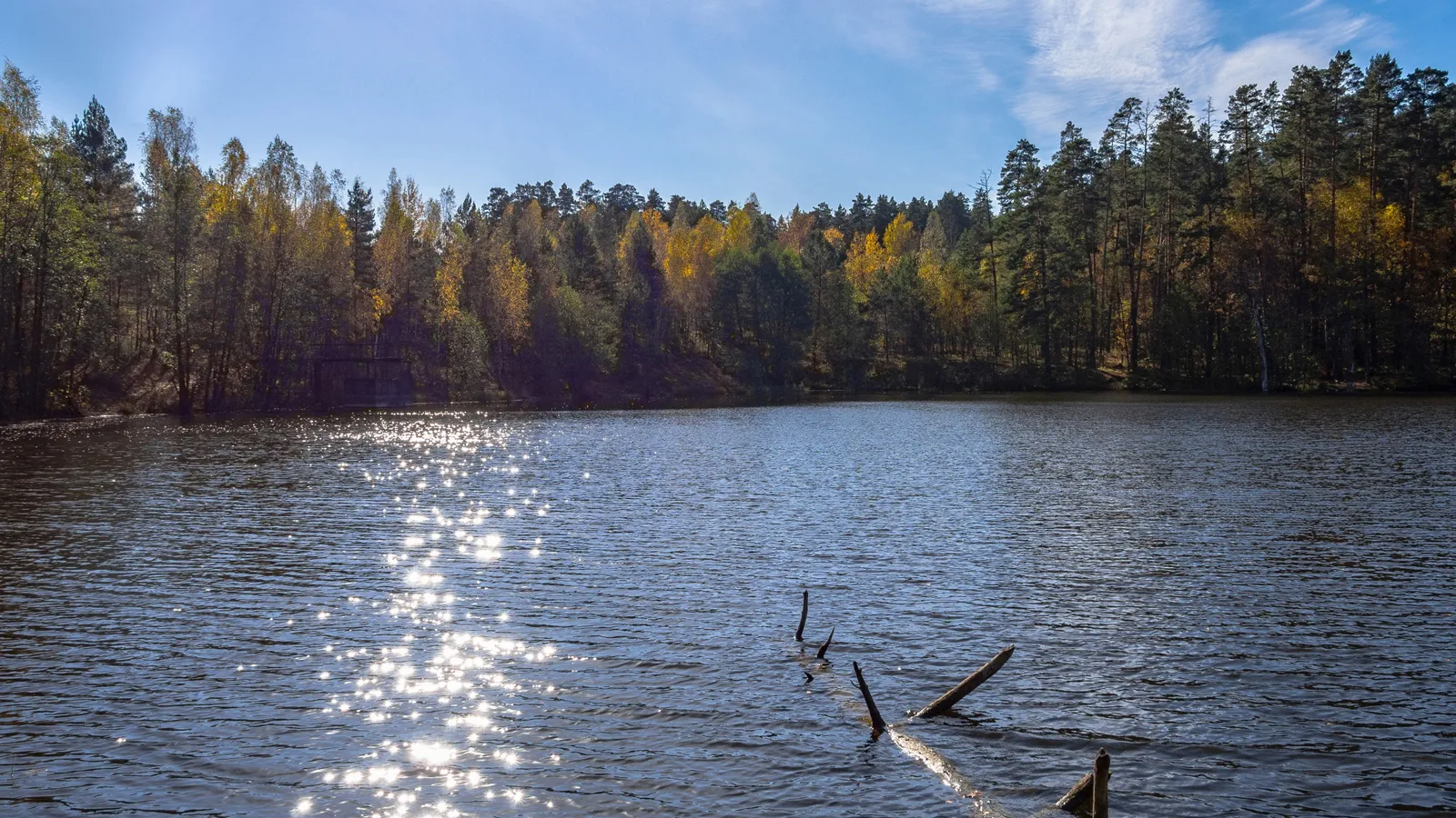 Фото: Антон Кондратюк