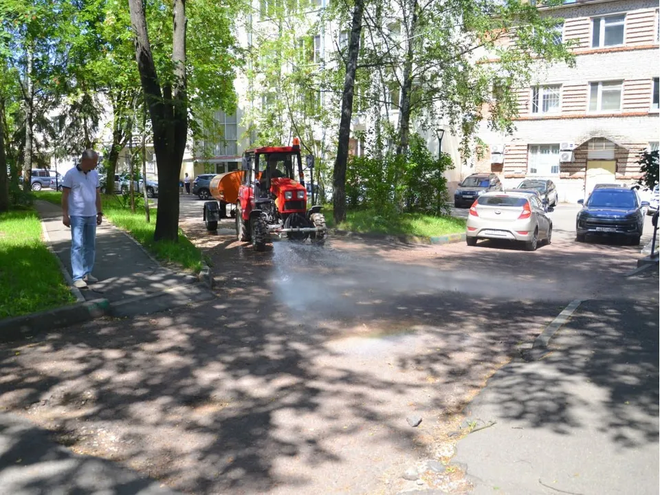 Фото: администрация г.о. Краснознаменск