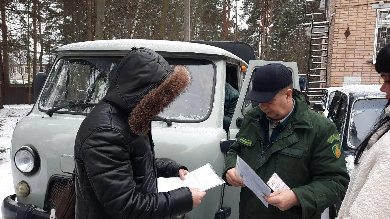 Фото: ГАУ МО «Мособллес»