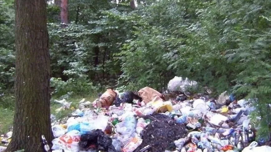 Фото kartinki-i-risunki.ru