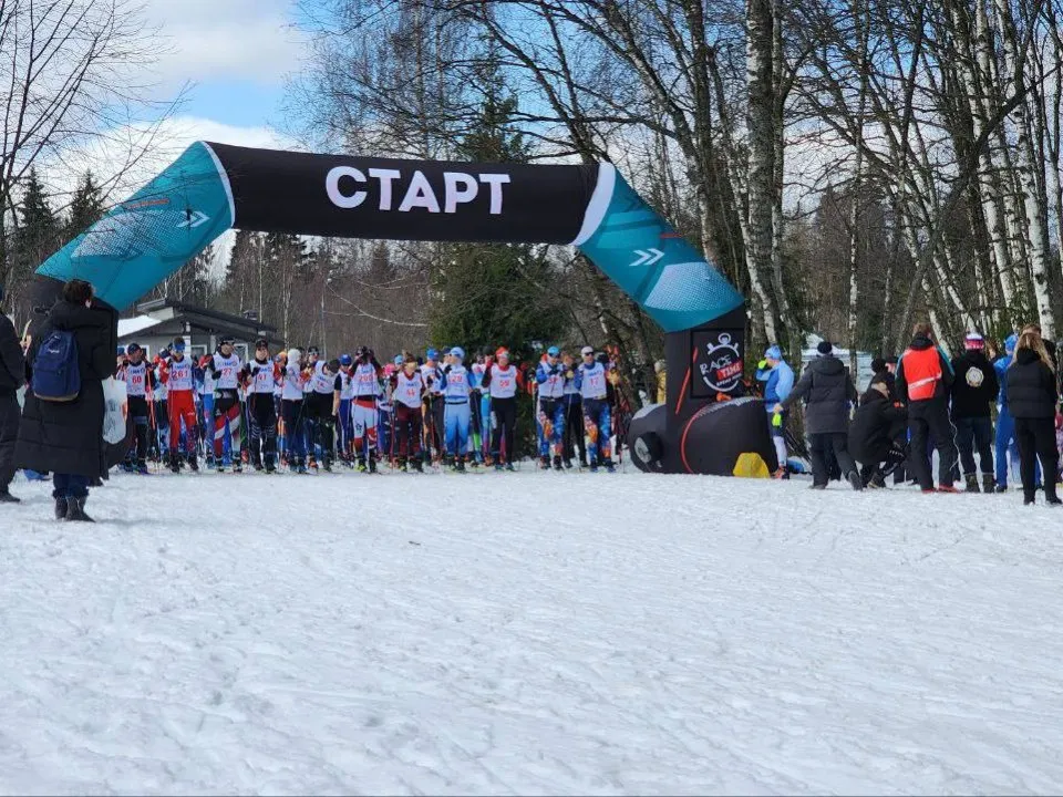Фото: пресс-служба администрации Дмитровского г.о.