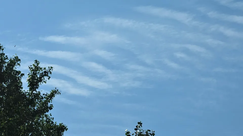 Фото: Евгения Шевнина