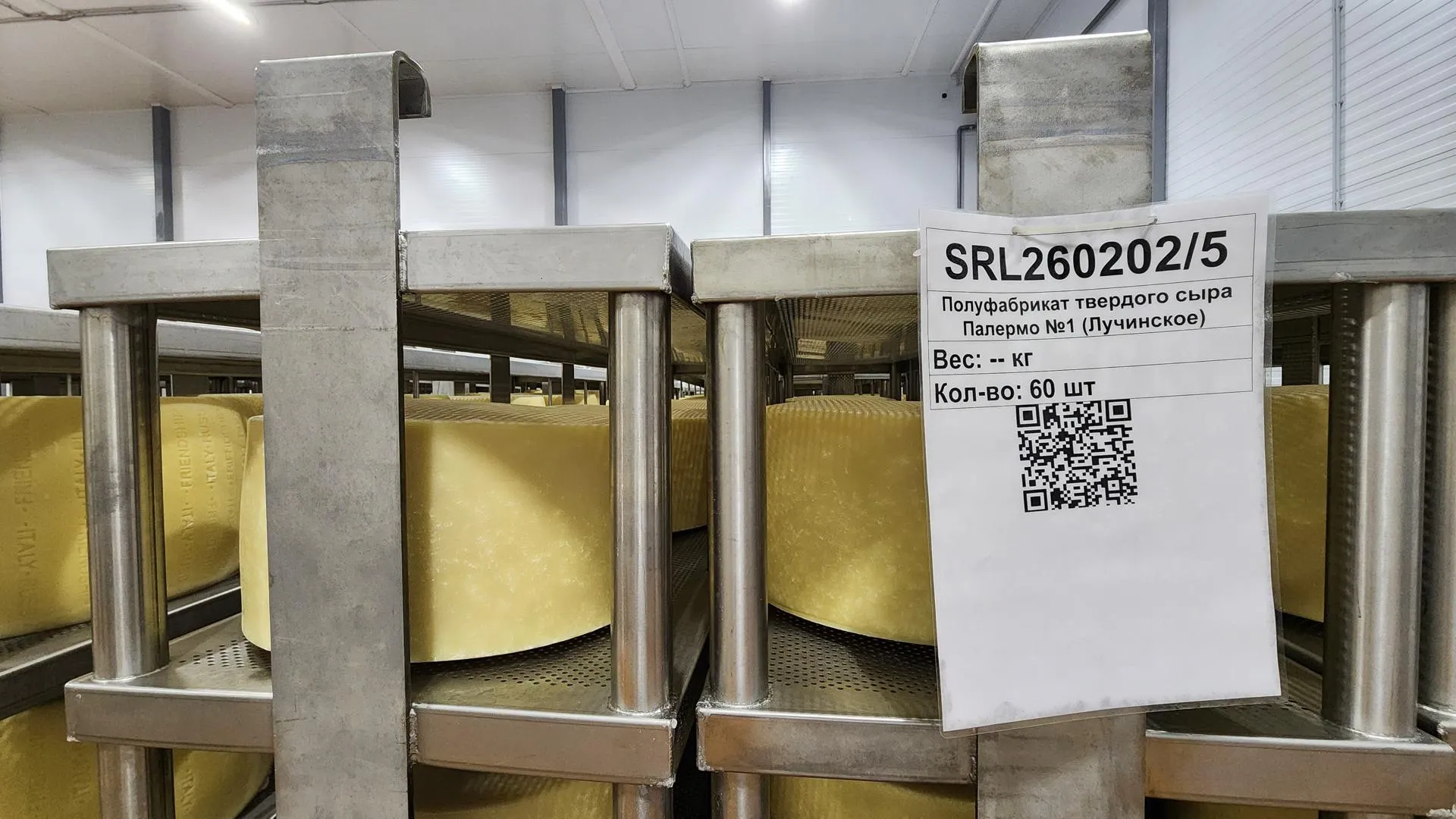 REGIONS/Евгений Рой