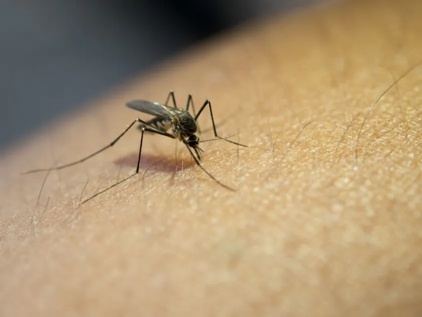 Фото: freepik.com