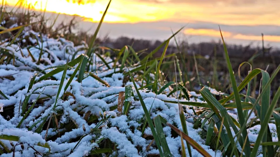 Фото: REGIONS/Максим Зубарев