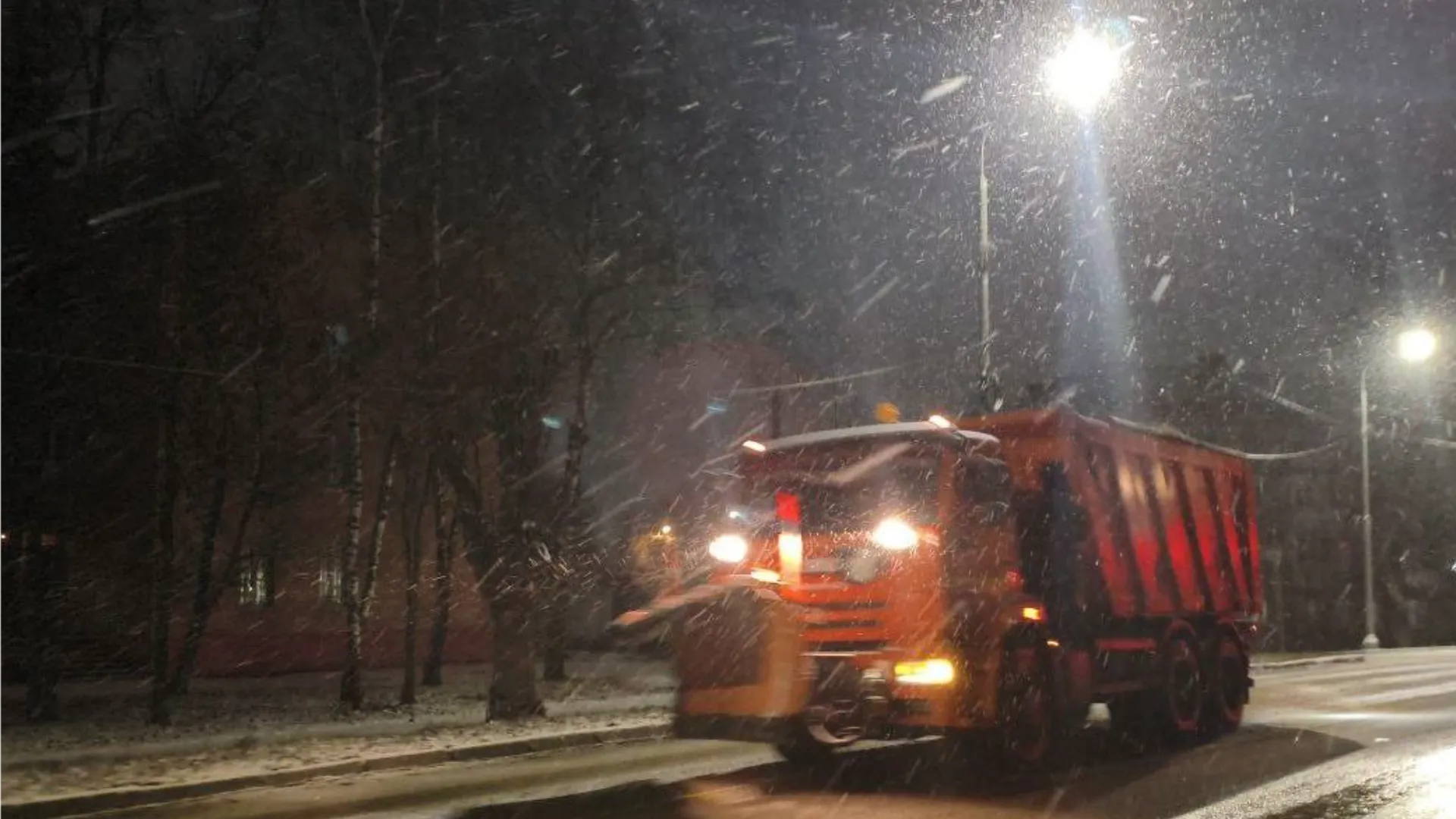 Фото: администрация Богородского городского округа