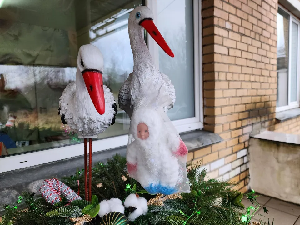 Фото: REGIONS/Ольга Аввакумова