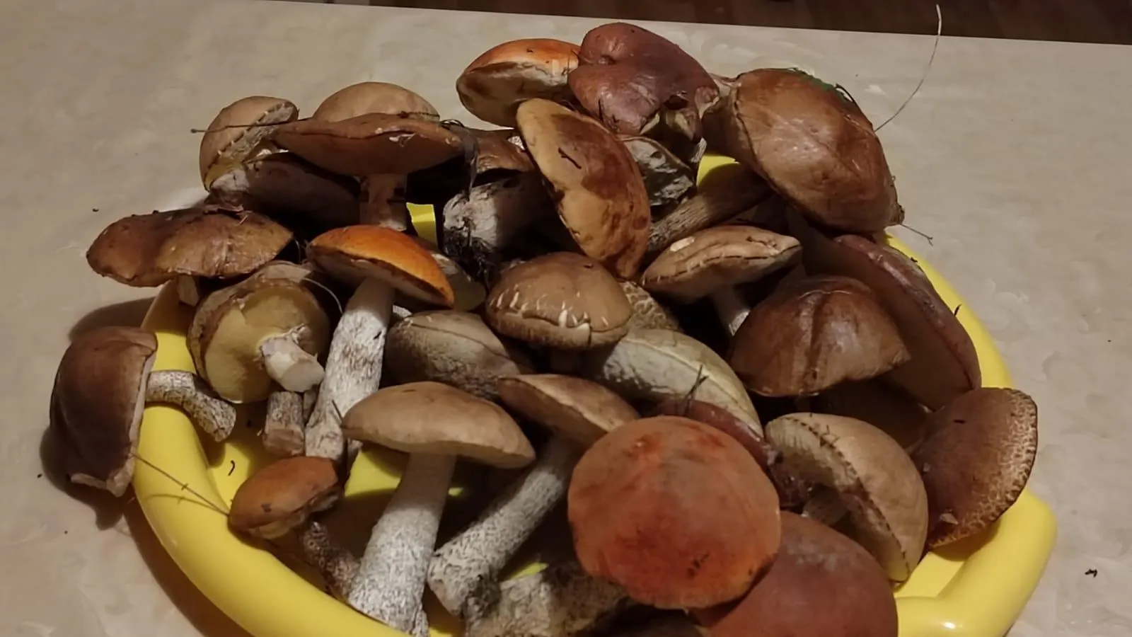 Фото: Анна Мороз