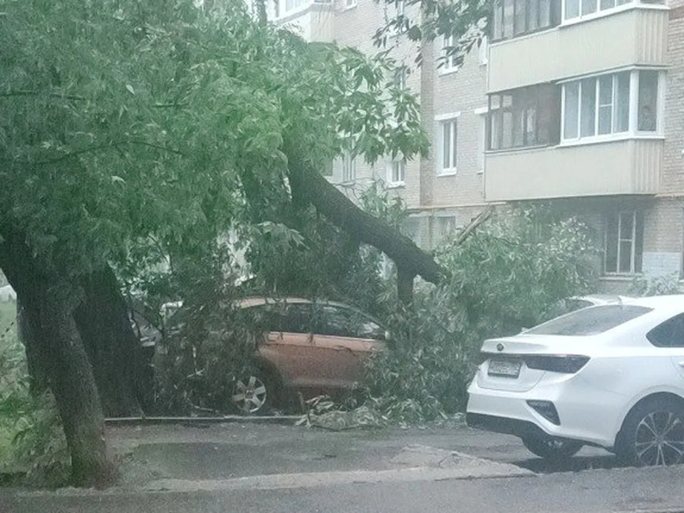 Фото: t.me/podolsk24life