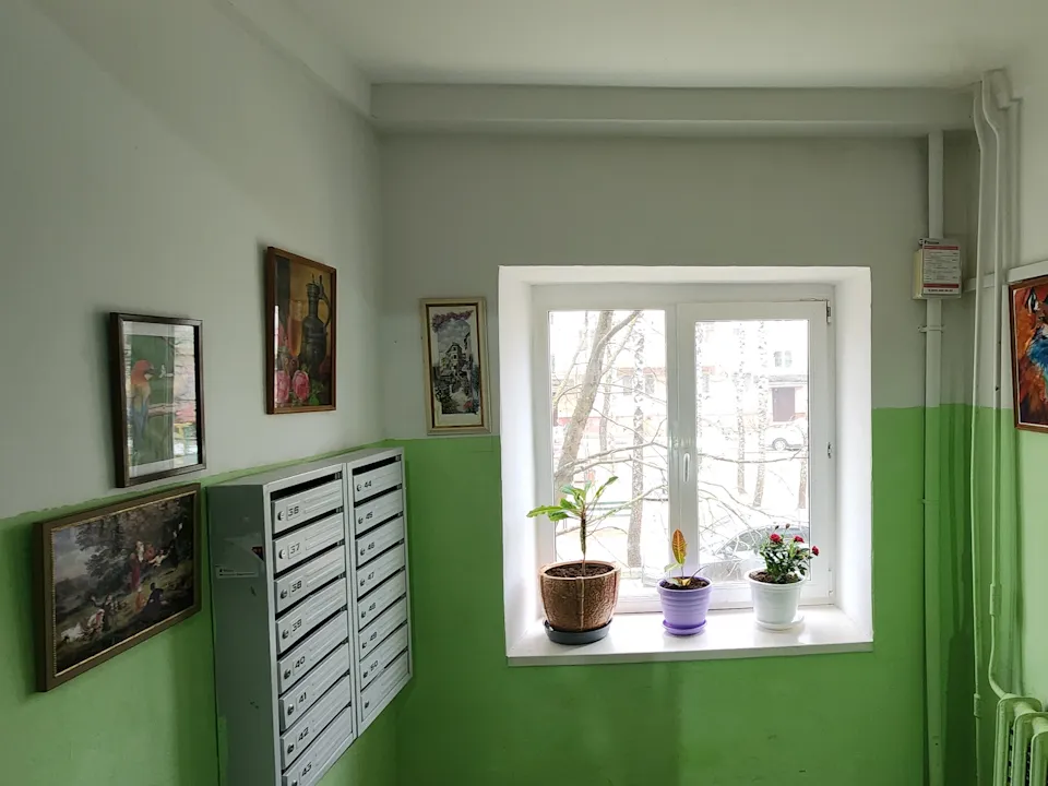 Фото: Хавива Фонина