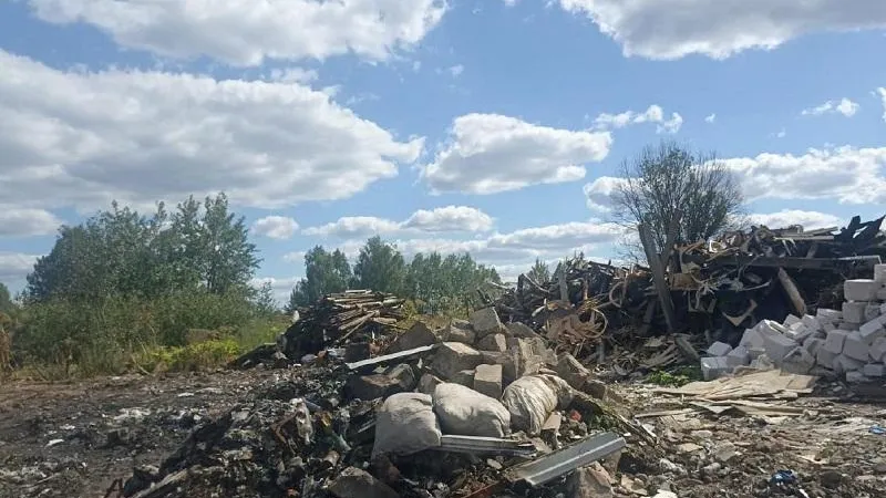 Фото: Министерство экологии и природопользования Московской области