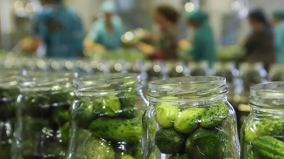 Фото: ТАСС/Денис Абрамов