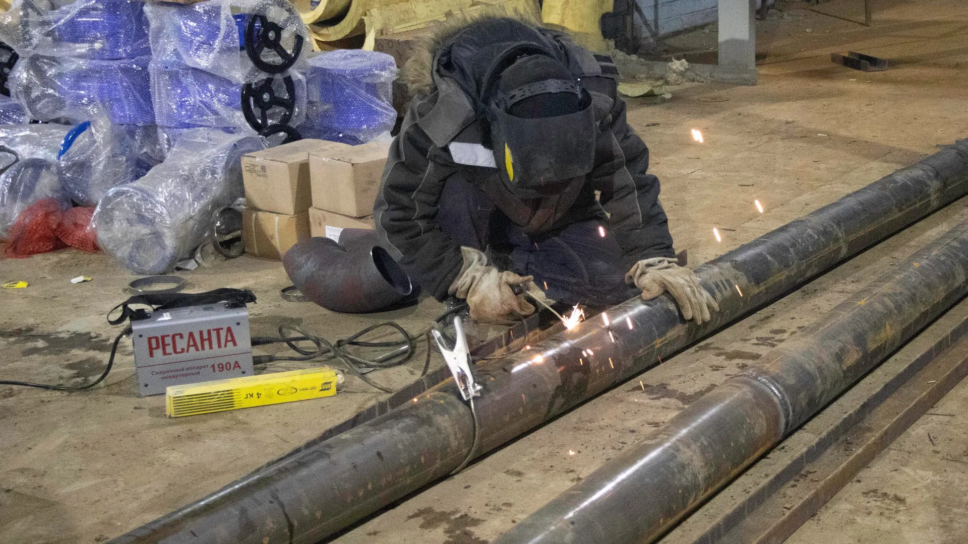 Фото: Александр Морозов