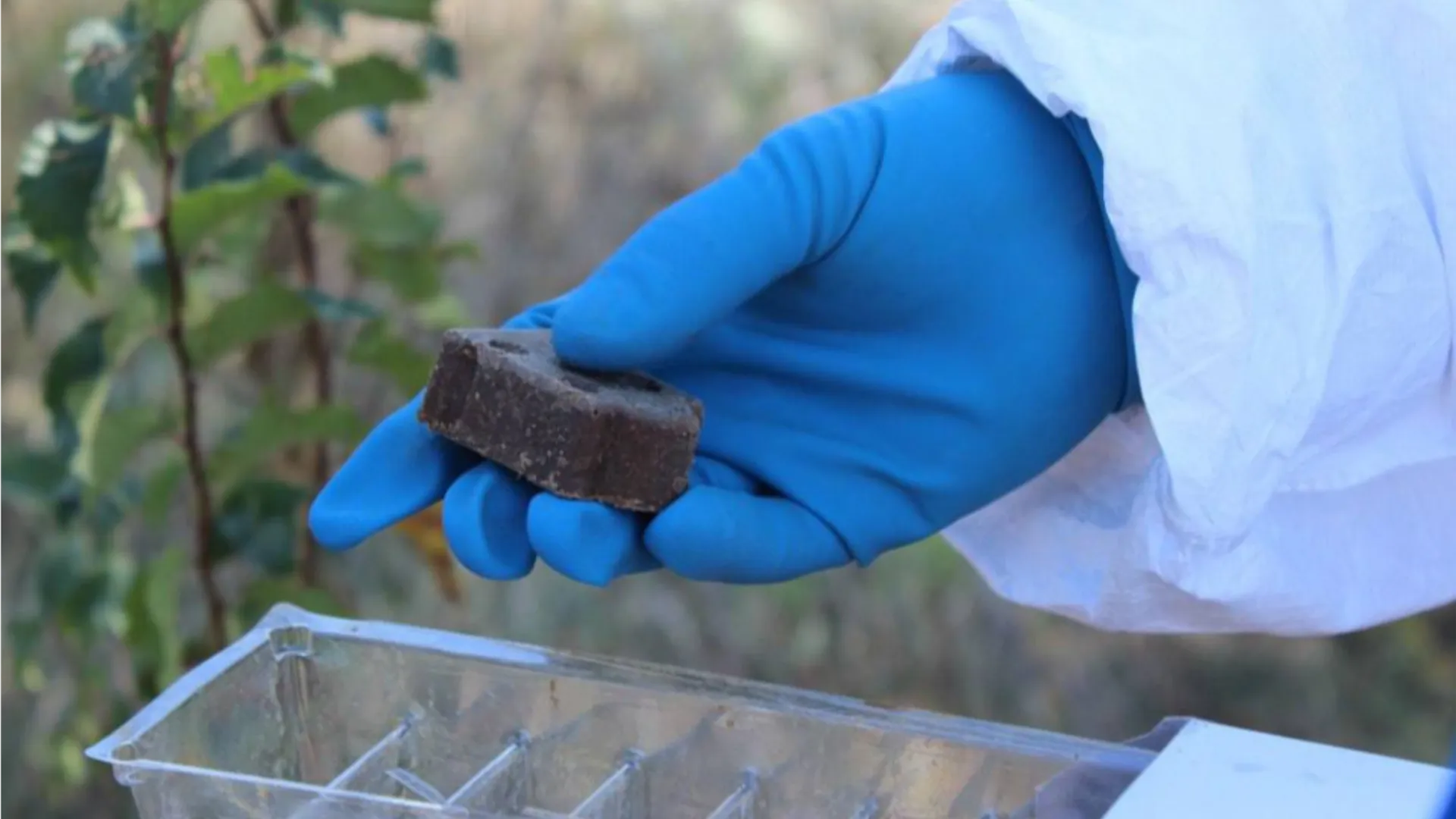 Фото: пресс-служба Министерства сельского хозяйства и продовольствия Московской области