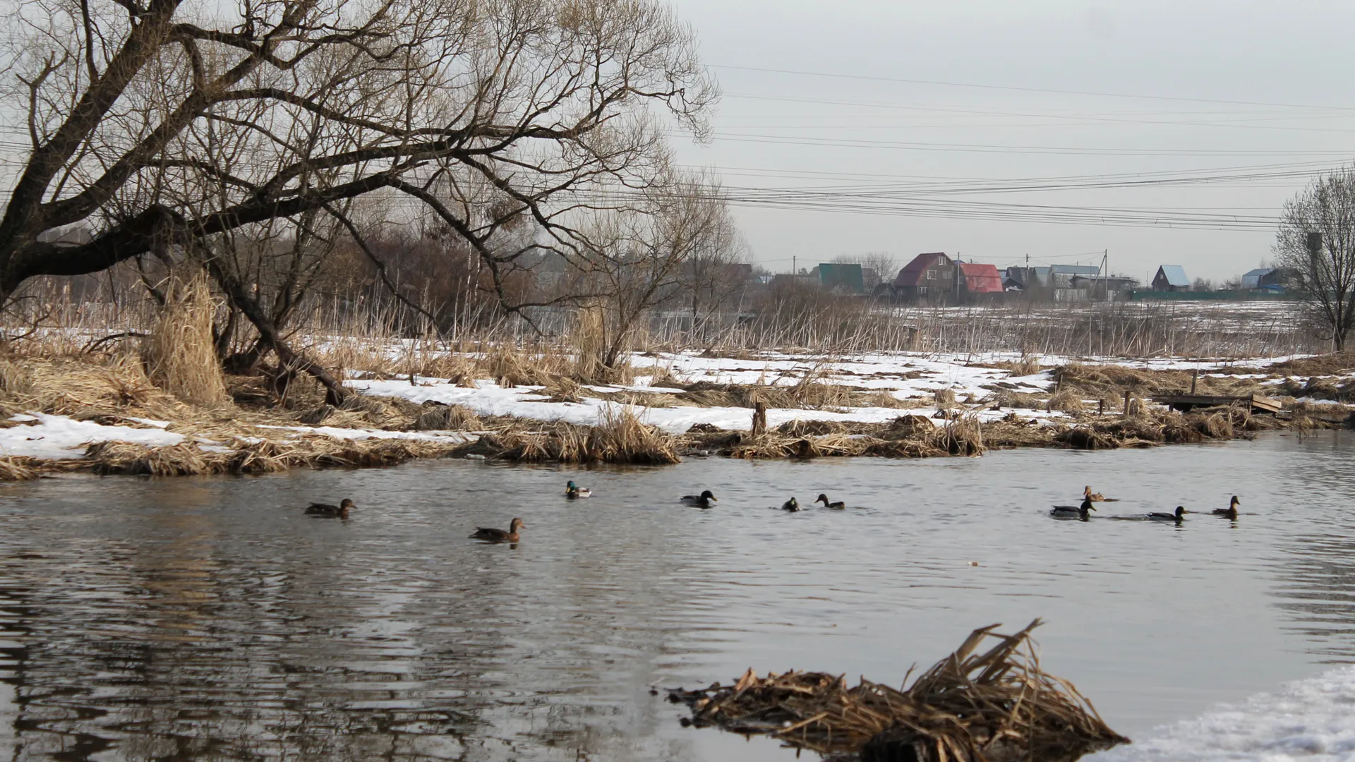 Весна в Королеве