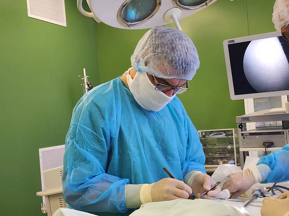 Фото: Оксана Лапшина