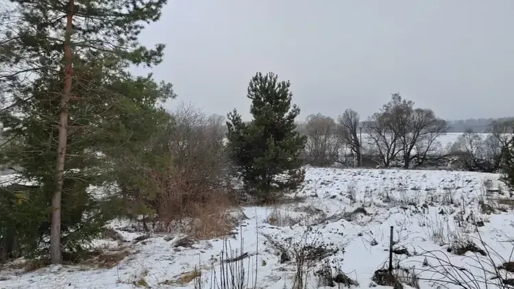 Фото: Единый портал торгов Московской области