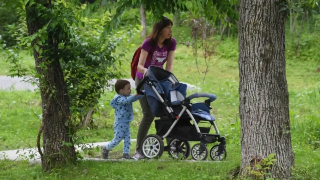 В Госдуме предложили создать для молодых мам раздел на госуслугах