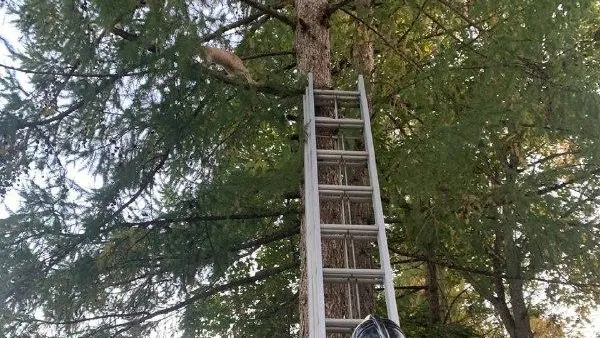 пресс-служба администрации Волоколамского округа