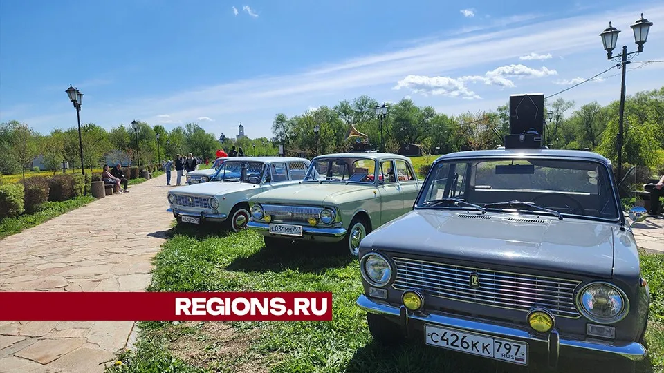 Фото: Александр Степушкин