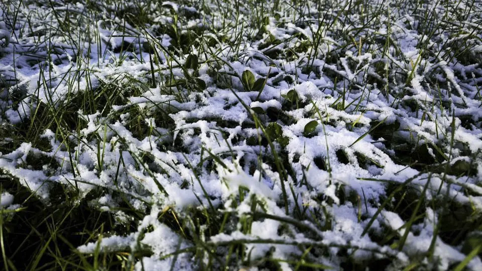 Фото: REGIONS/Роман Малышенко