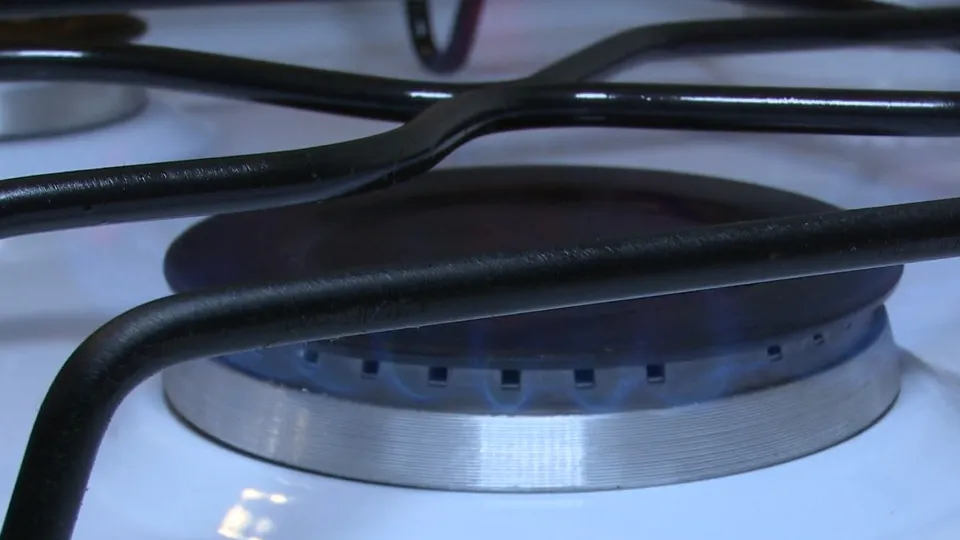 Фото: МедиаБанк Подмосковья/Ксения Казакова