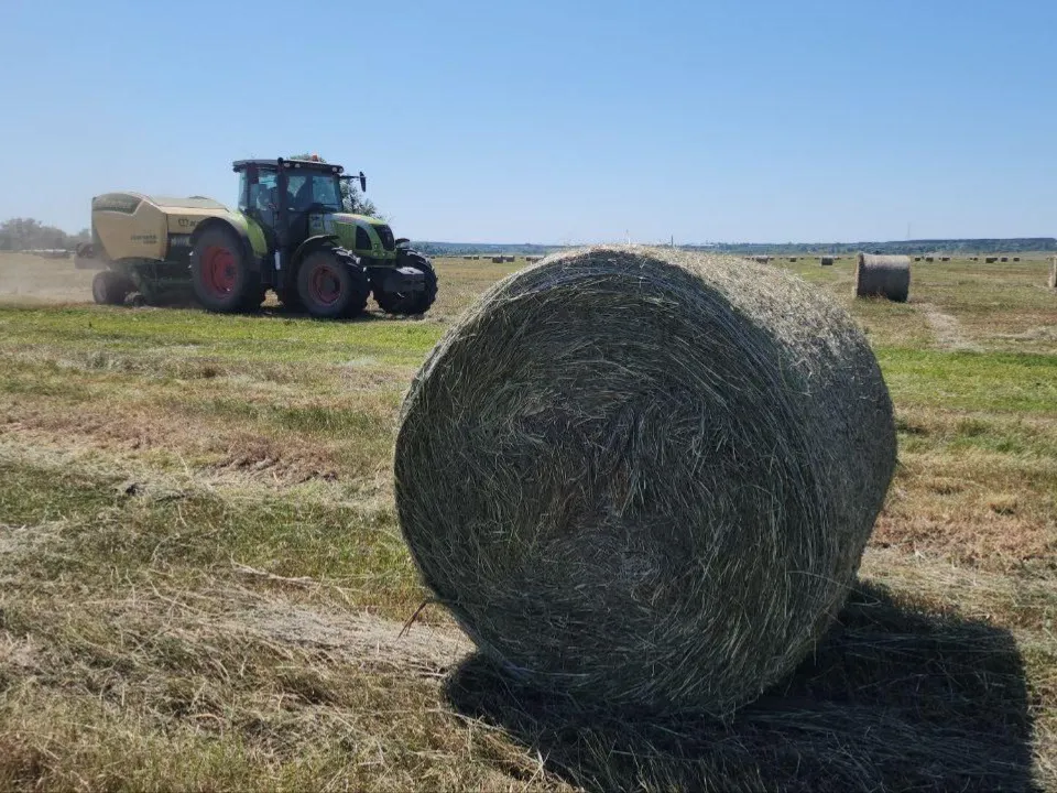 Фото: Администрация м.о. Луховицы