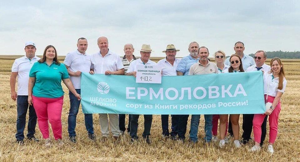 Подмосковные аграрии побили мировой рекорд по урожайности пшеницы