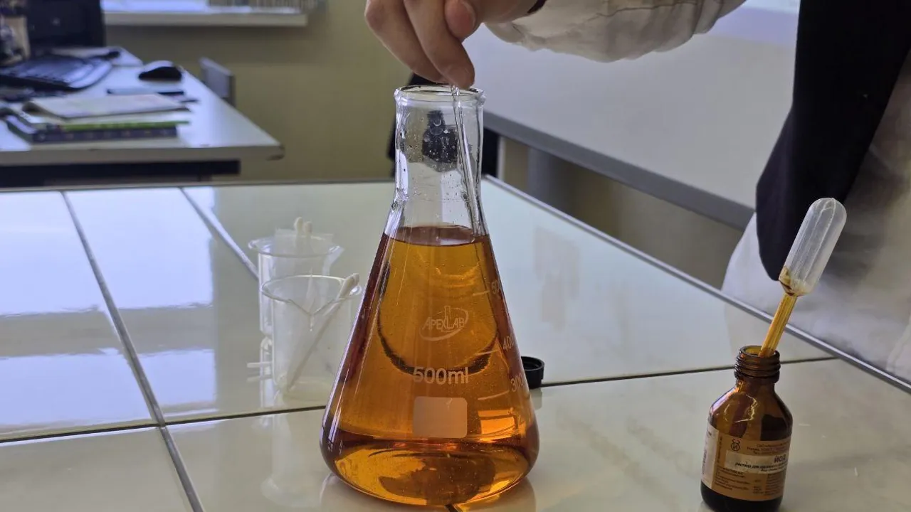 REGIONS/Яна Шаливская