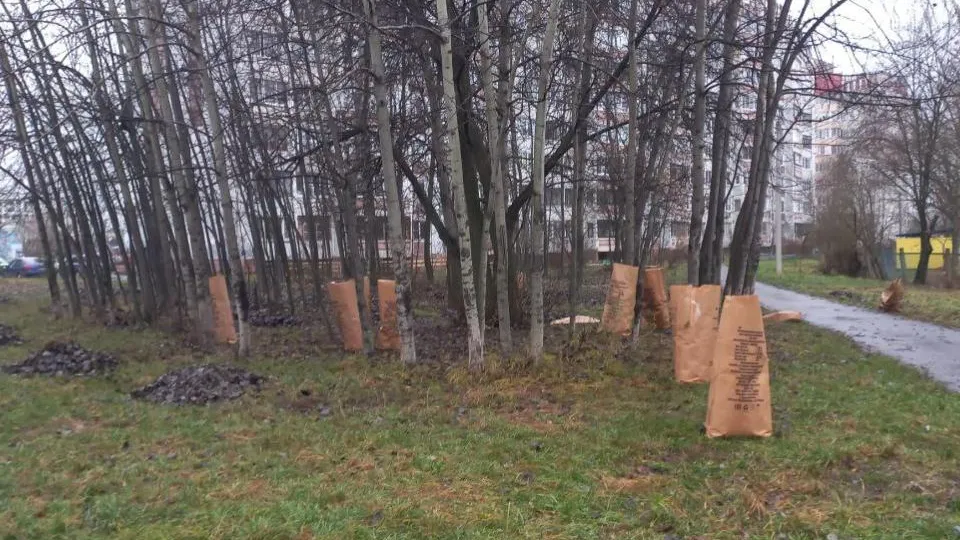 REGIONS/Олег Книжник