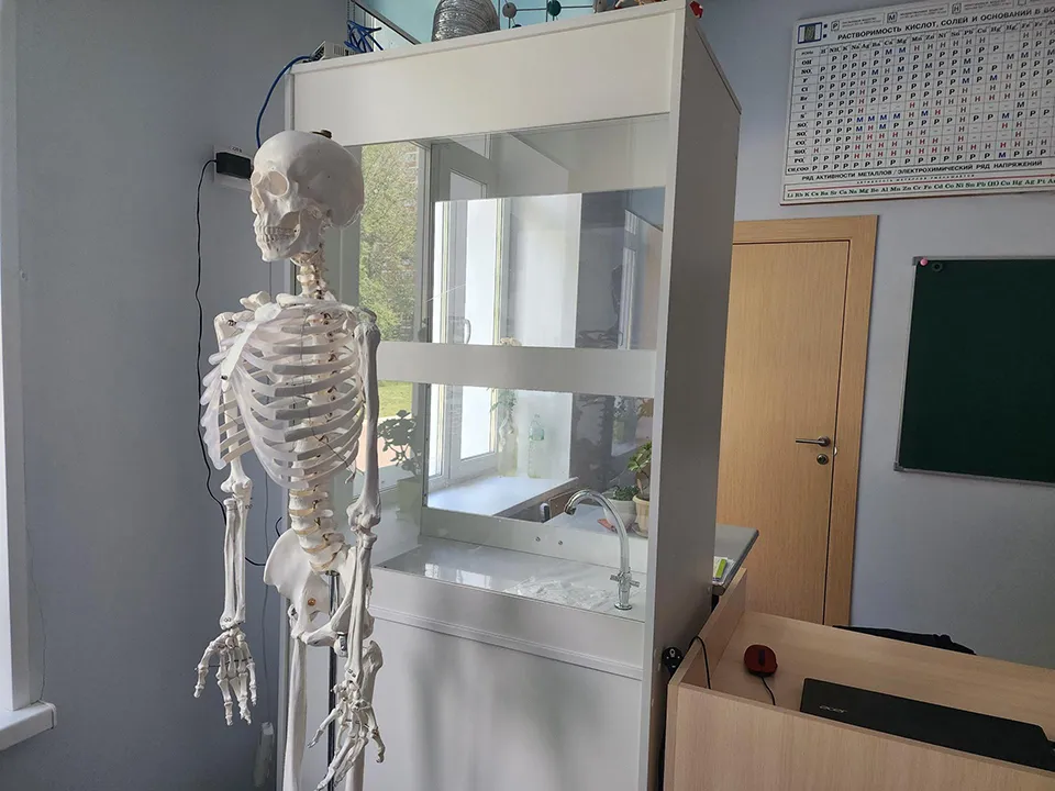 Фото: МедиаБанк Подмосковья/Екатерина Мелкозерова