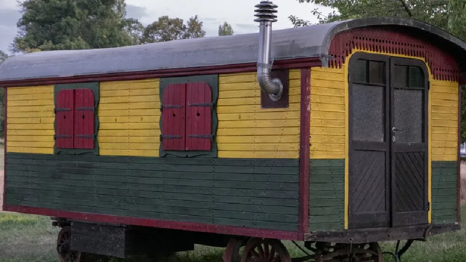 Фото: freepik.com