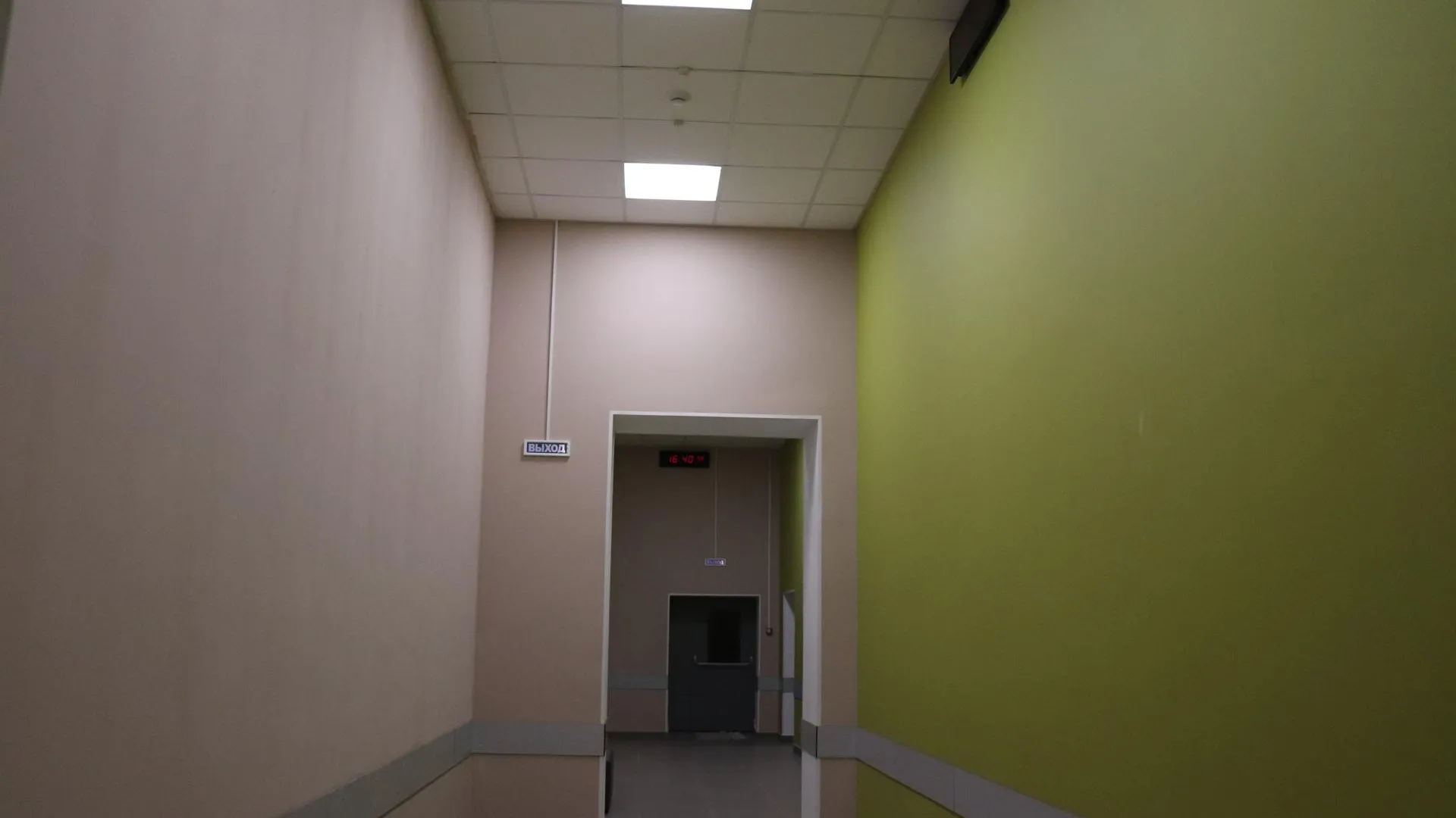 Фото: Василий Тремасов