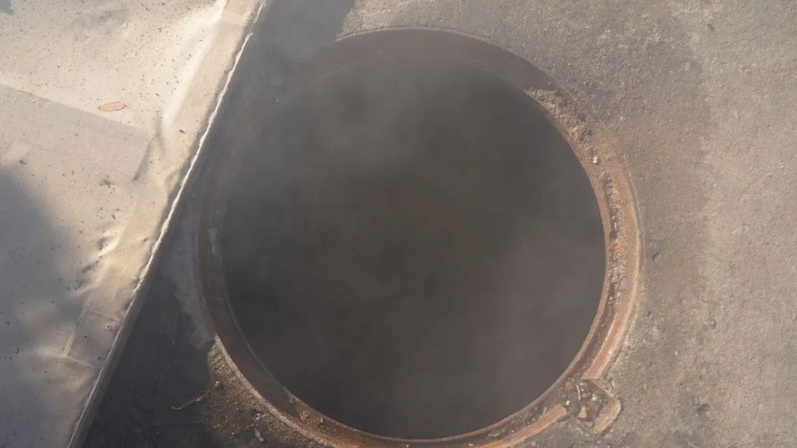 Фото: МедиаБанк Подмосковья/Дмитрий Зайчиков