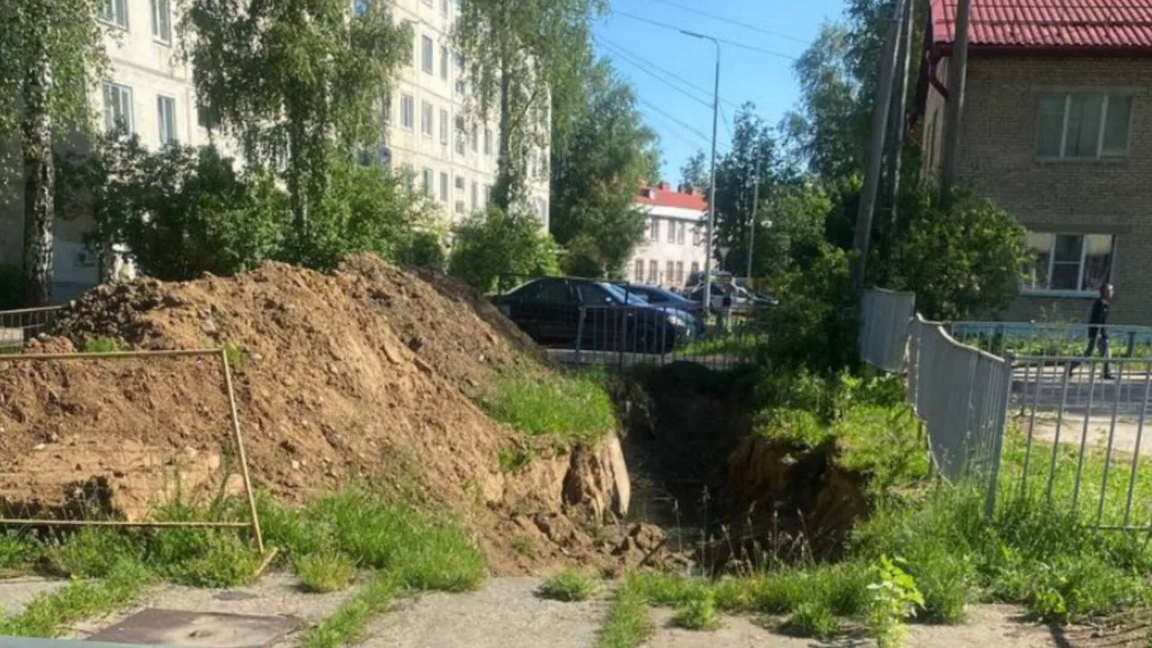 Фото предоставлено Ольгой Меркуловой