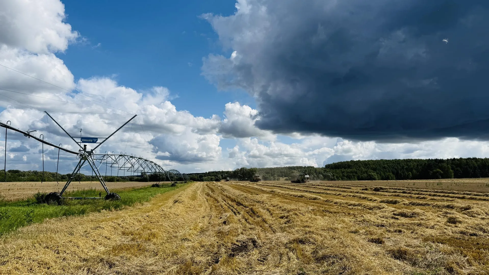 Минсельхозпрод Московской области