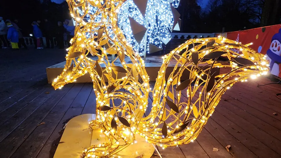 Фото: REGIONS/Артем Мишуков