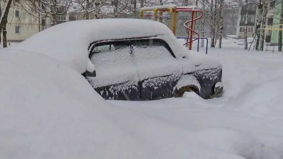 Фото: МедиаБанк Подмосковья / Данила Кирьянов